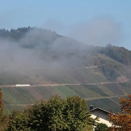 Die Mosellodge * Kröv